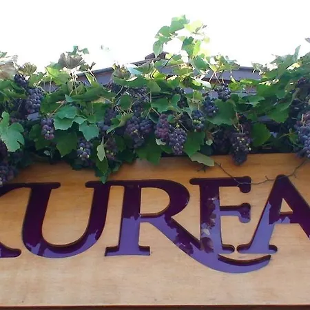 Casa rural Kurfal Ağva