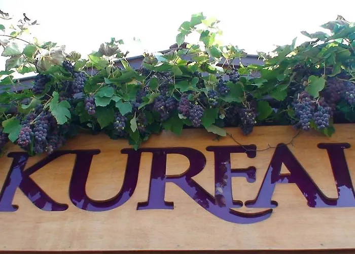 乡村民宿 Kurfal 阿瓦