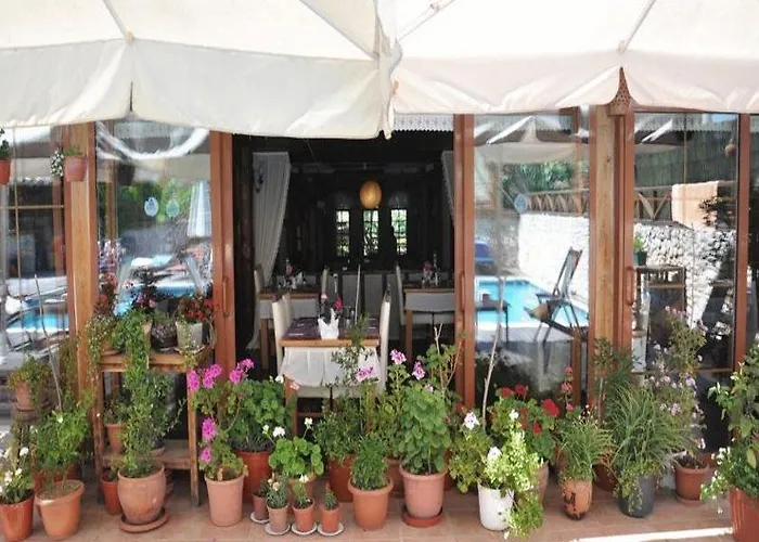 乡村民宿 Kurfal *